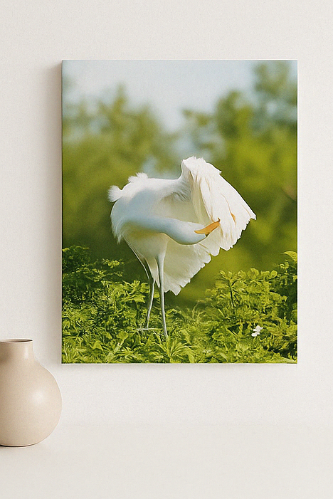 Feather & Light – Egret Photography Print | Framed Greetings