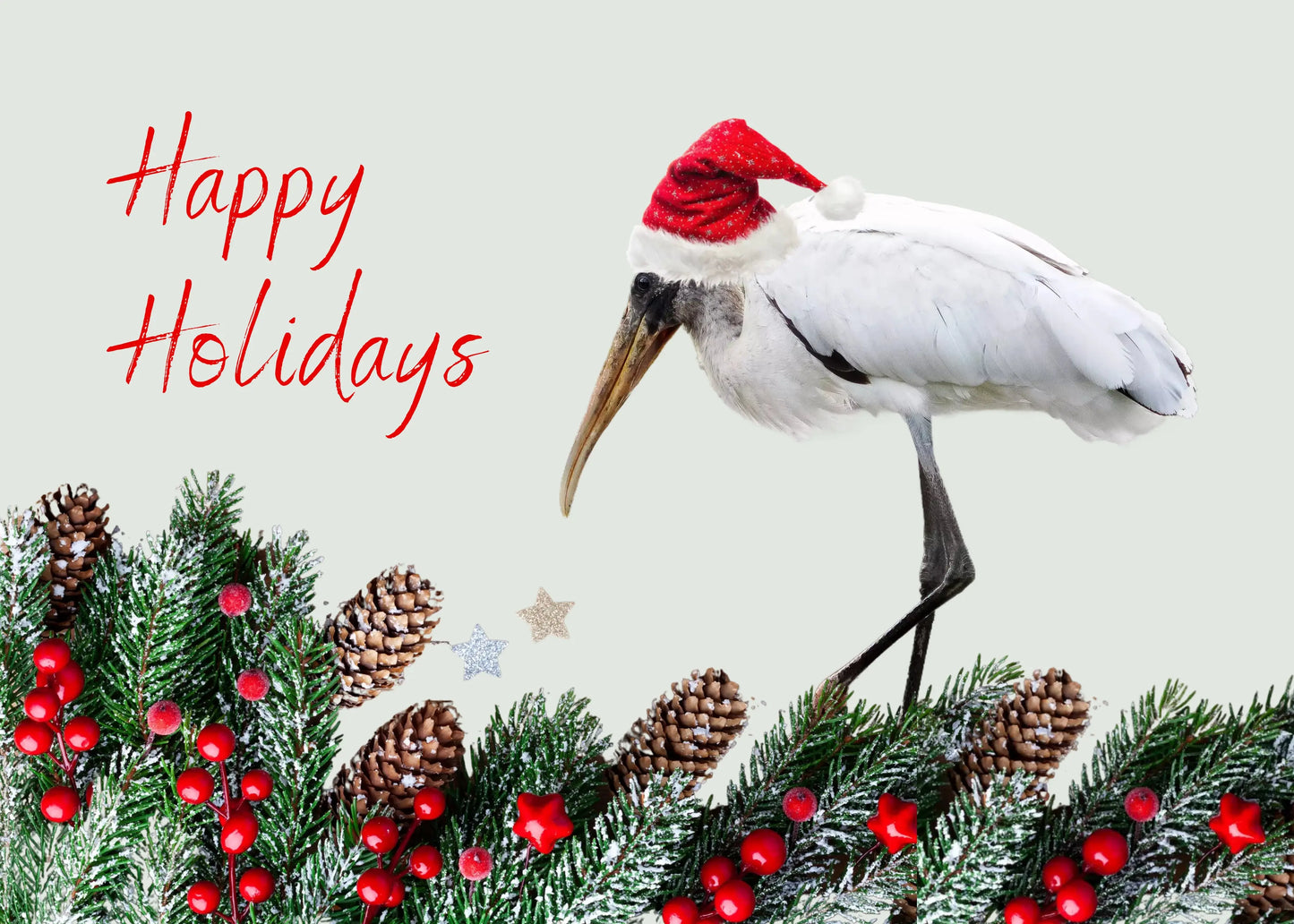 Custom Greeting Cards - Matte Framed Greetings