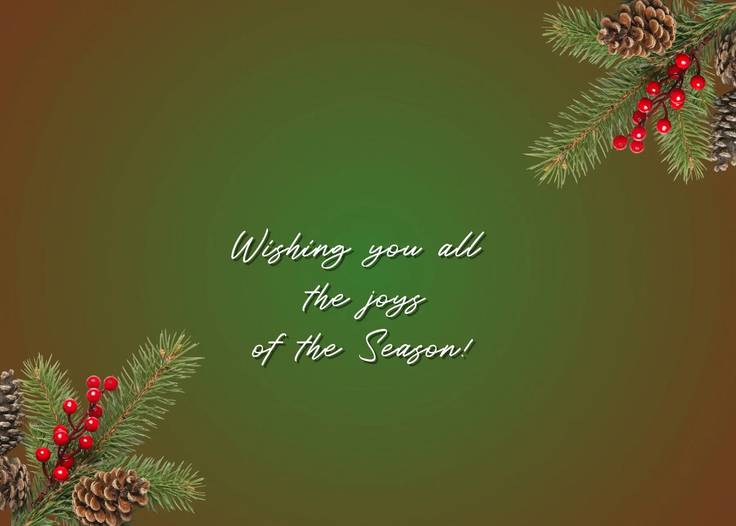 Christmas Sea Gulls Antoinette Washington Photography