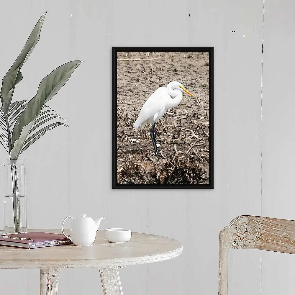 Runway Egret 3 Antoinette Washington Photography