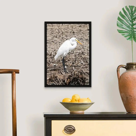 Runway Egret 3 Antoinette Washington Photography