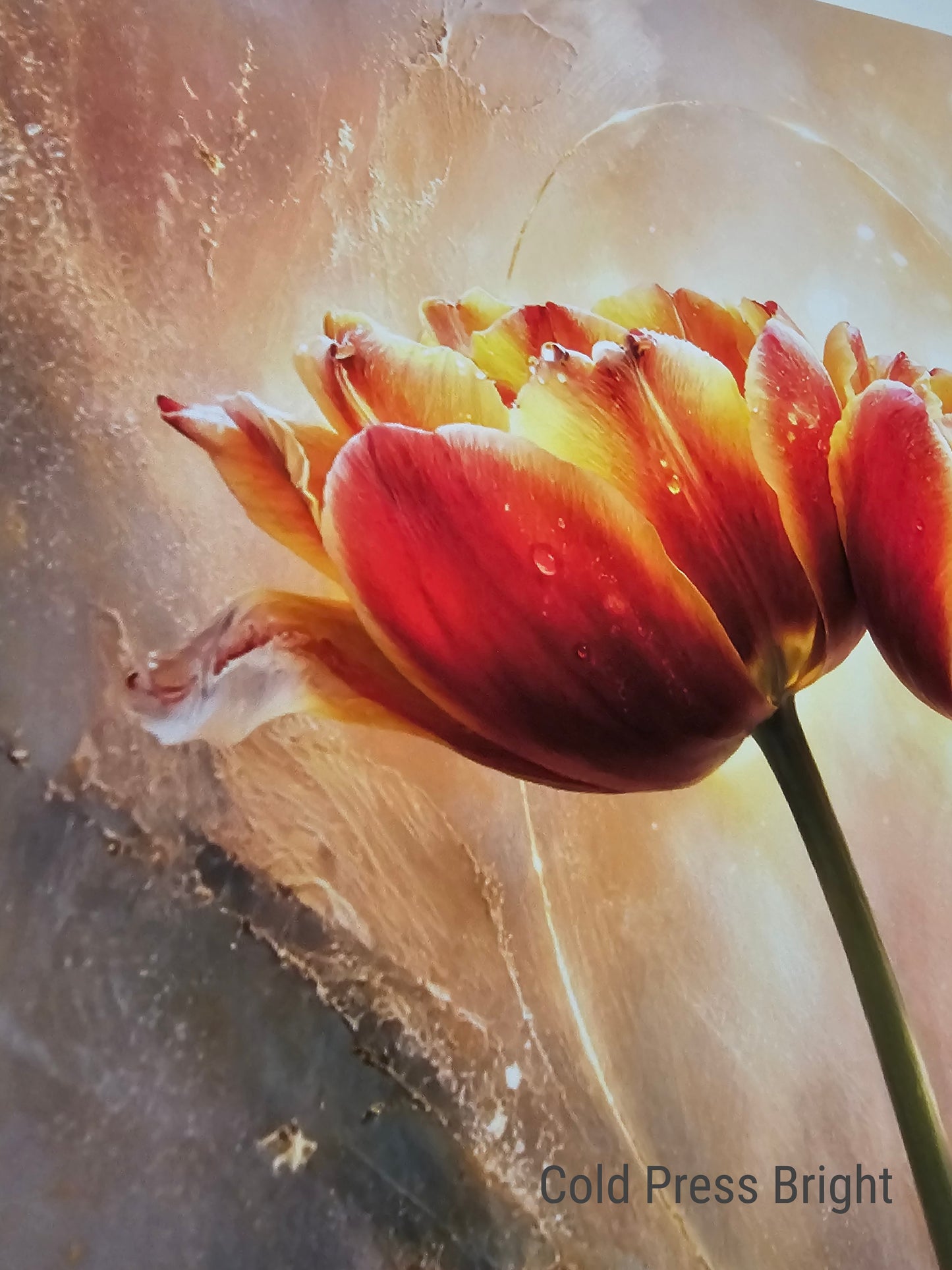 Standing in Warmth – Mixed Media Fine Art Print