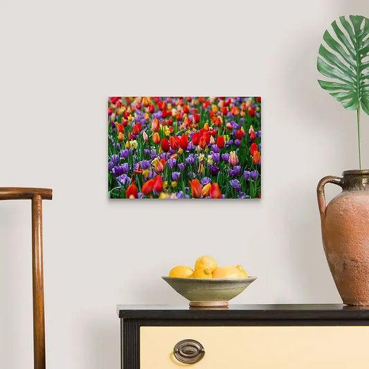 Tulip Garden Antoinette Washington Photography