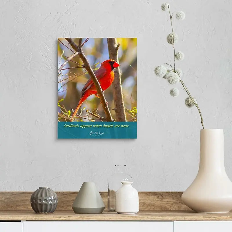 Cardinal -With Customization Antoinette Washington Photography