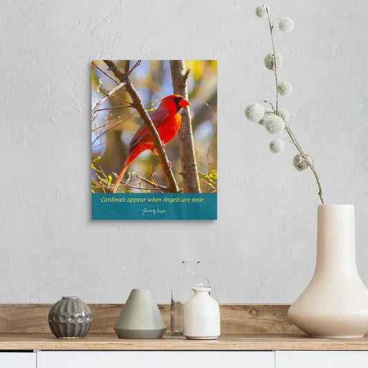 Cardinal -With Customization Antoinette Washington Photography