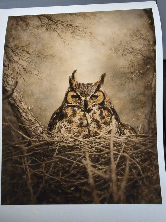 Behind the Piece: The Watcher
