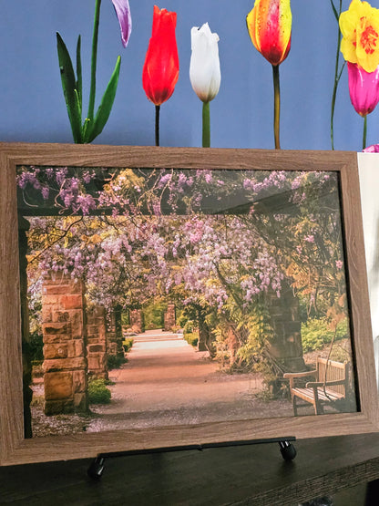 Enchanting Garden Pathway