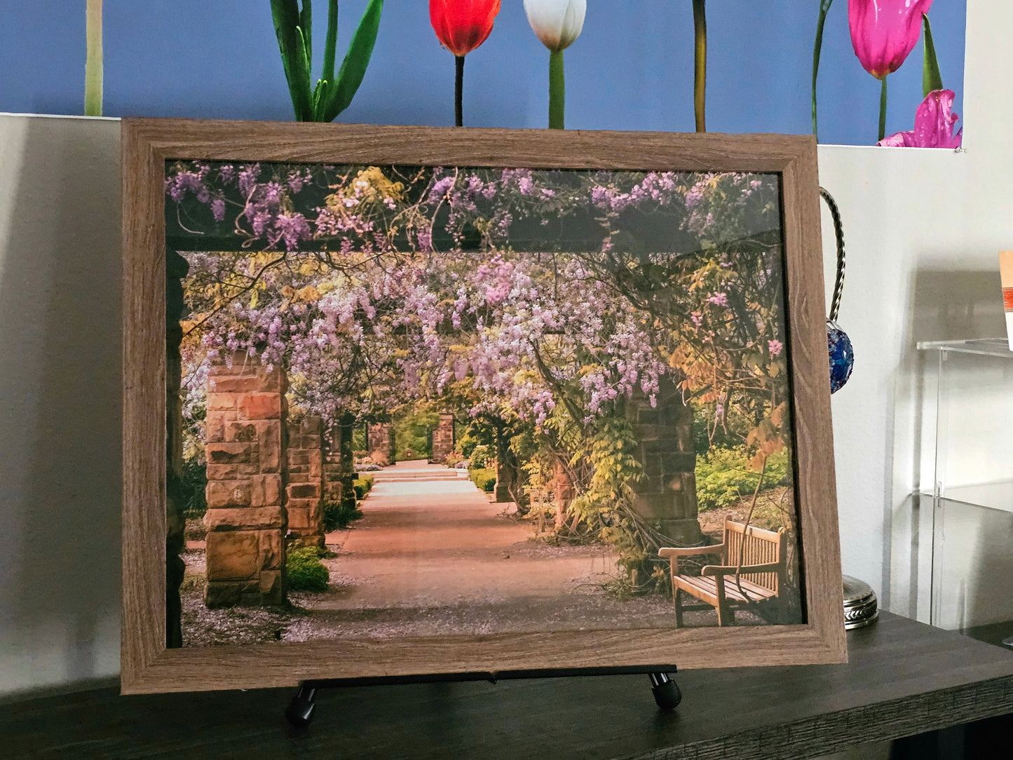Enchanting Garden Pathway