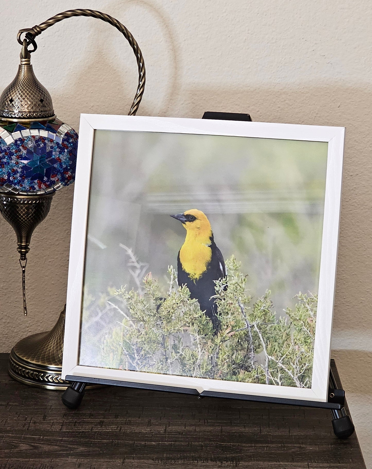 Golden Notes – Yellow-Headed Blackbird Photography Print | Framed Greetings