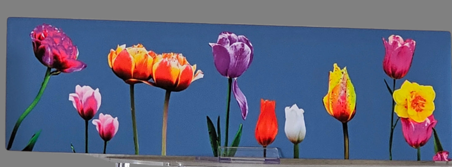 Spring Standing Tall – Panoramic Mixed Media Tulip Art
