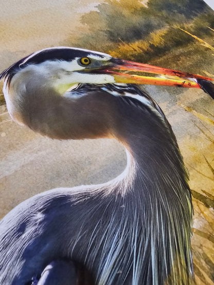 Close-up of a heron with detailed feathers and beak on a textured background