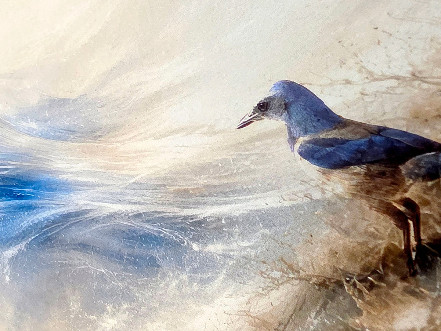 Bird standing on a frozen surface with a blurred background