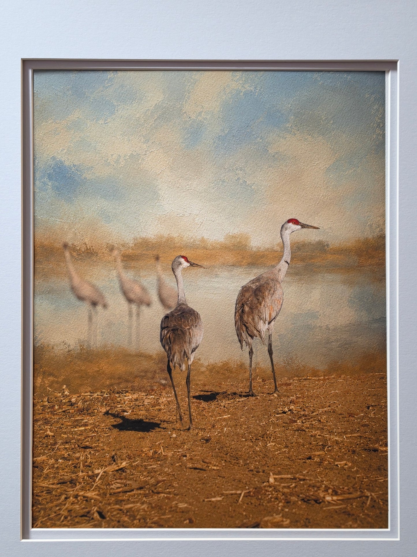 Framed artwork of two birds walking on a textured surface with a neutral background