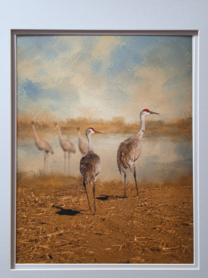 Framed artwork of two birds walking on a textured surface with a neutral background