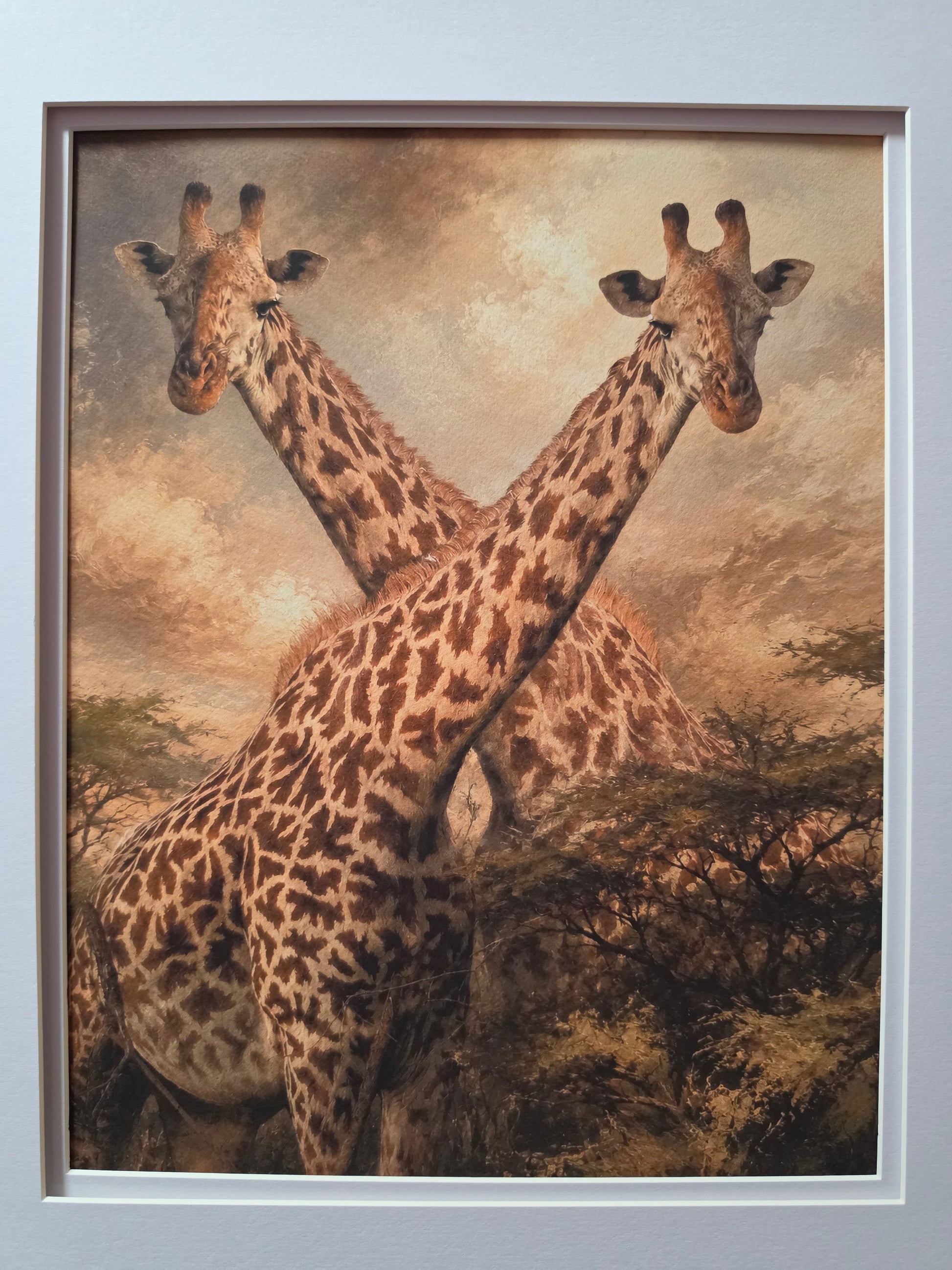 Framed artwork of two giraffes in a natural setting