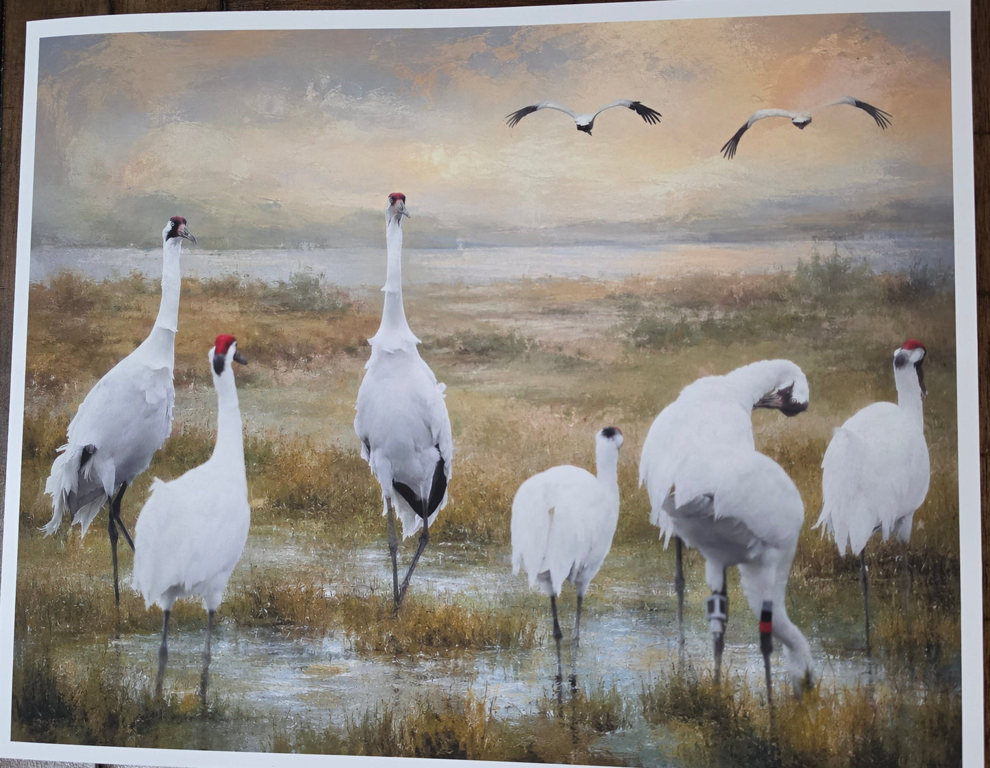 Painting of cranes in a natural setting with a wooden frame.