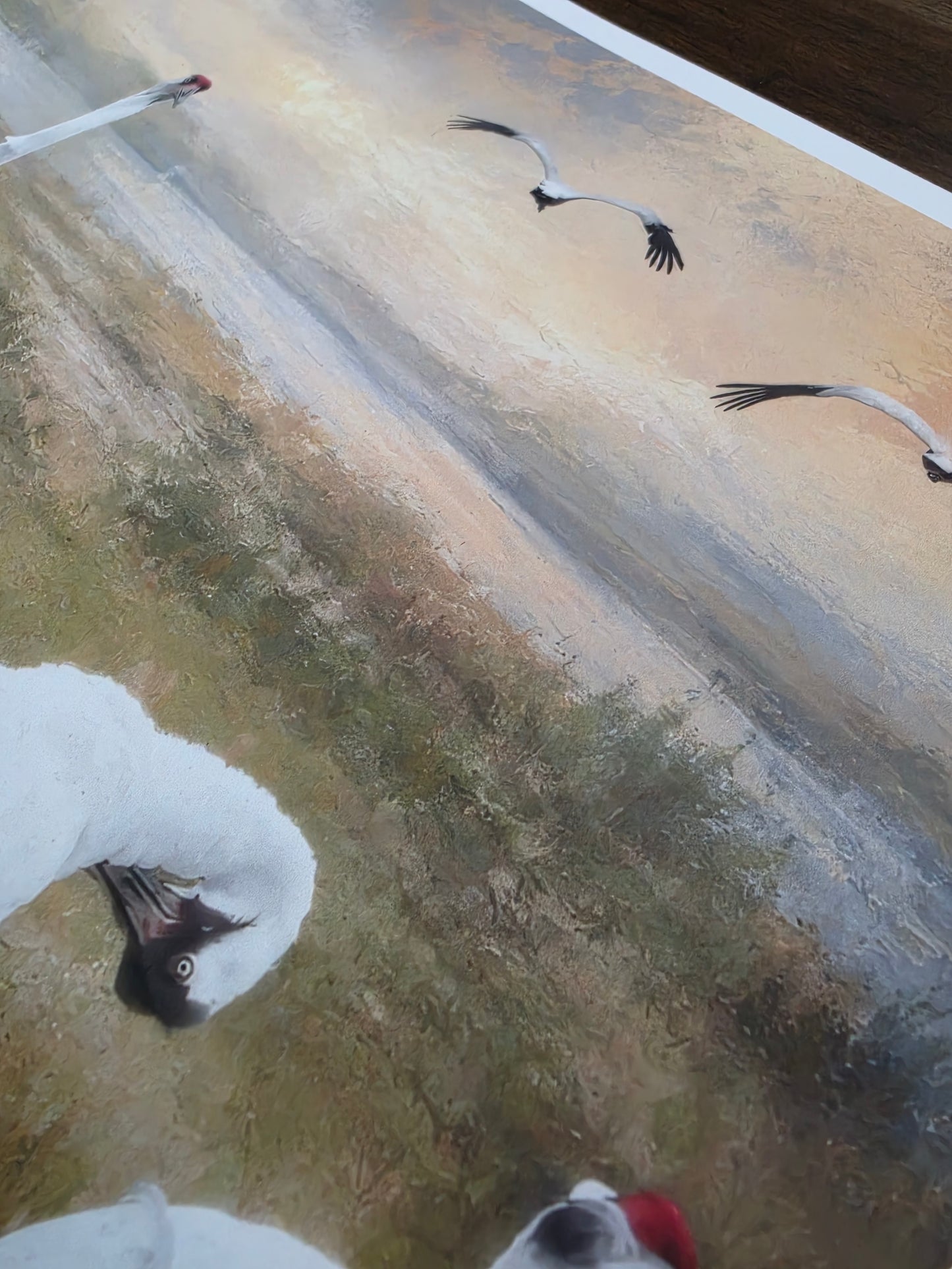 Two snowy egrets on a snowy ground with a blurred background