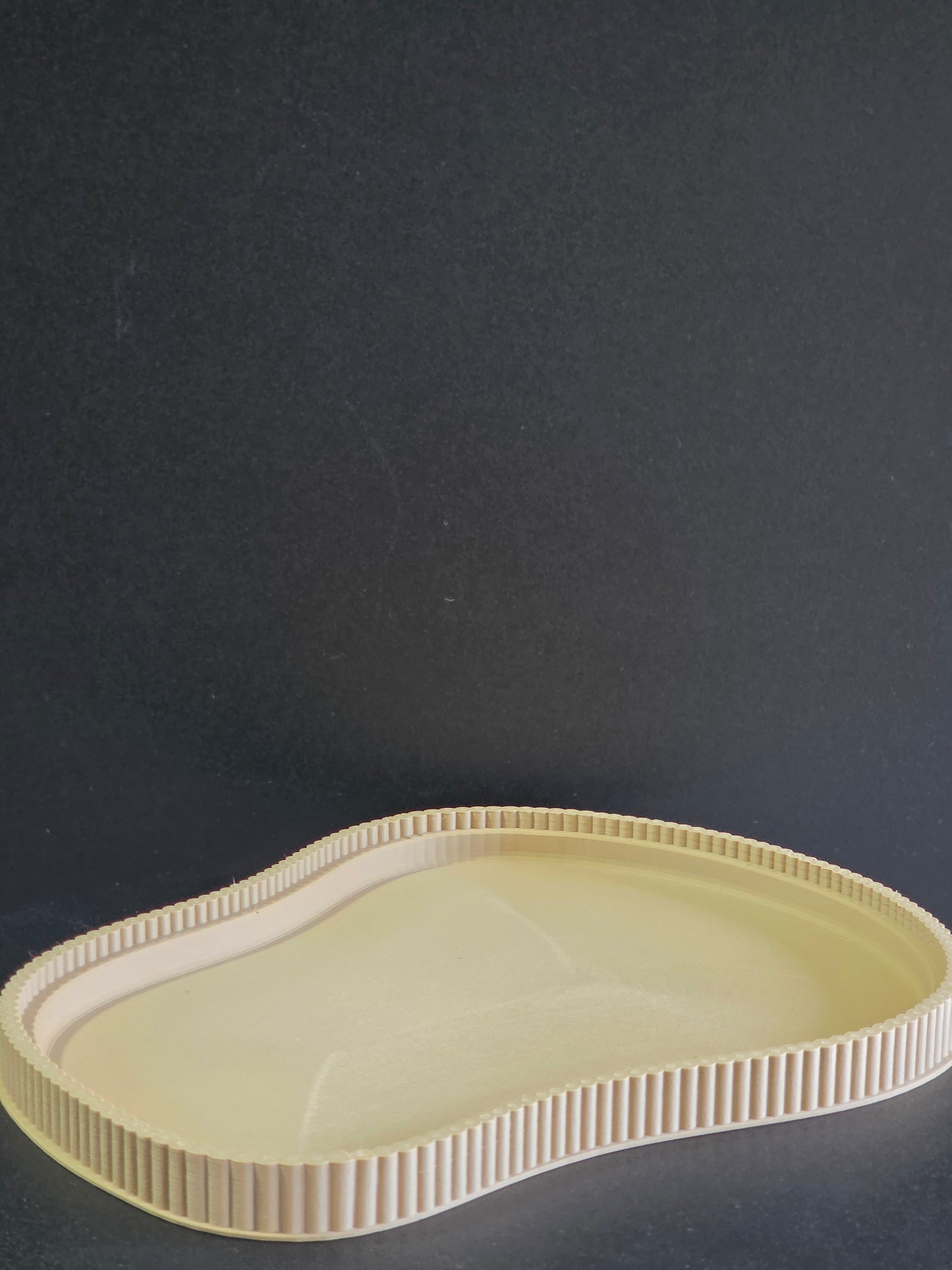 Sculptural Accent Tray — Modern Decorative Display Tray