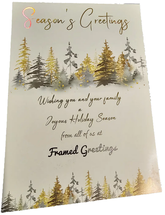 Custom Holiday Cards - Glossy Framed Greetings
