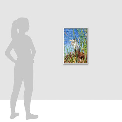 Blue Heron Antoinette Washington Photography