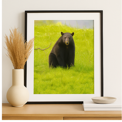 Stillness and Strength – Black Bear Photography Print | Framed Greetings