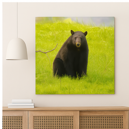 Stillness and Strength – Black Bear Photography Print | Framed Greetings