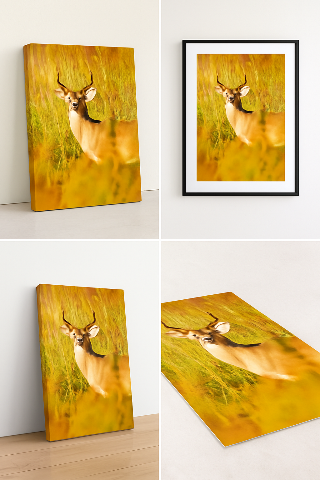 The Golden Hour Buck – Wildlife Photography Print | Framed Greetings
