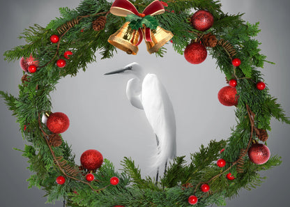 Christmas Egret Antoinette Washington Photography