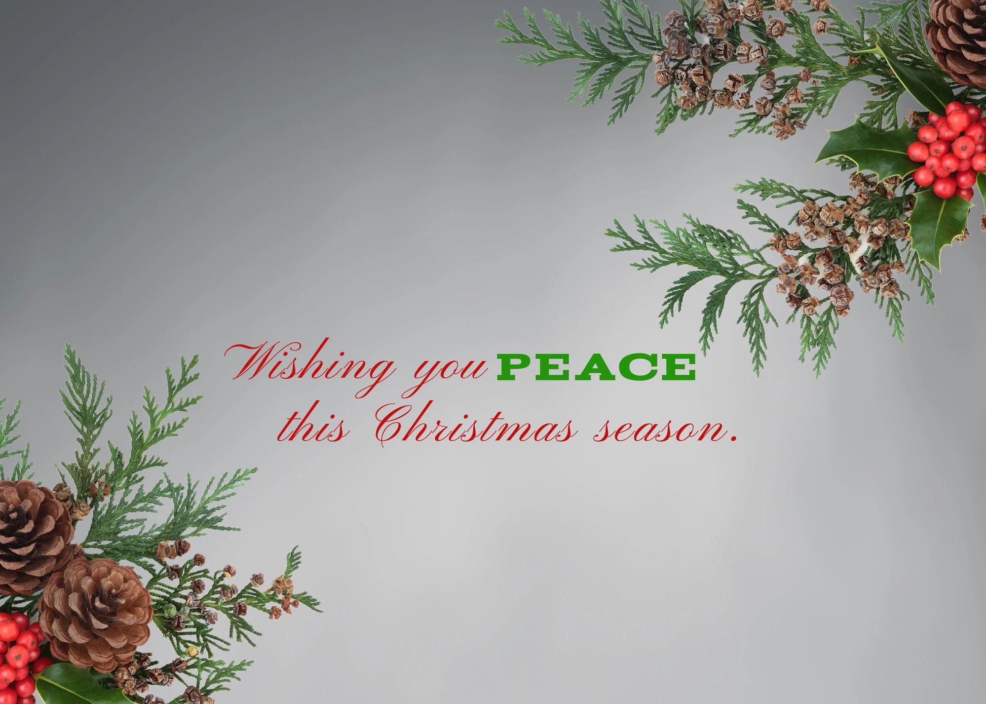 Christmas Egret Antoinette Washington Photography