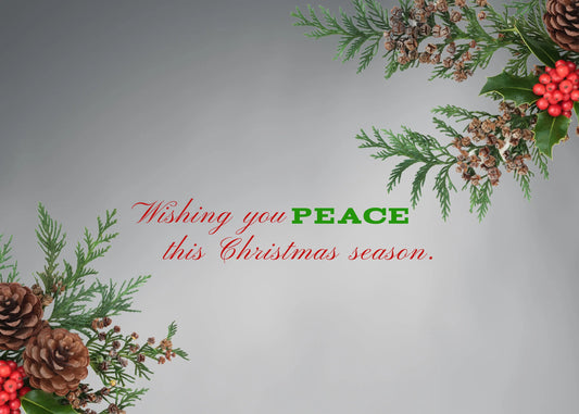 Christmas Egret Antoinette Washington Photography