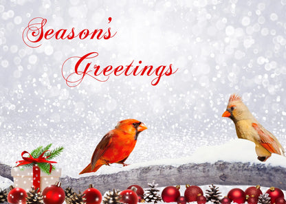 Christmas Cardinals Antoinette Washington Photography