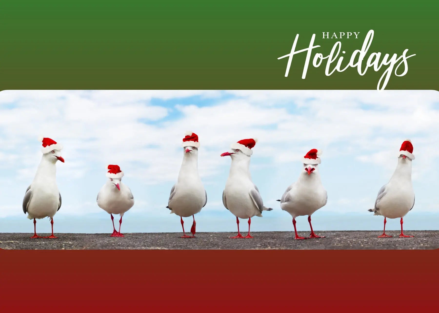 Christmas Sea Gulls Antoinette Washington Photography