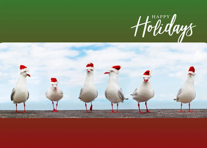 Christmas Sea Gulls Antoinette Washington Photography