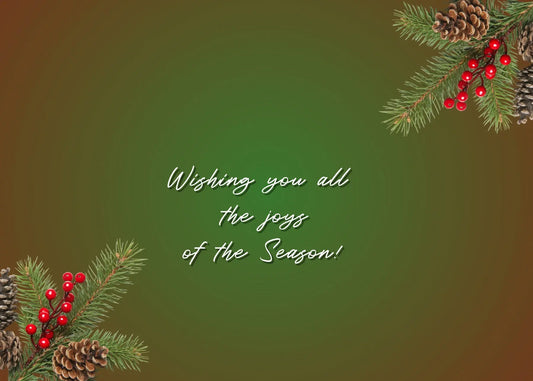 Christmas Sea Gulls Antoinette Washington Photography