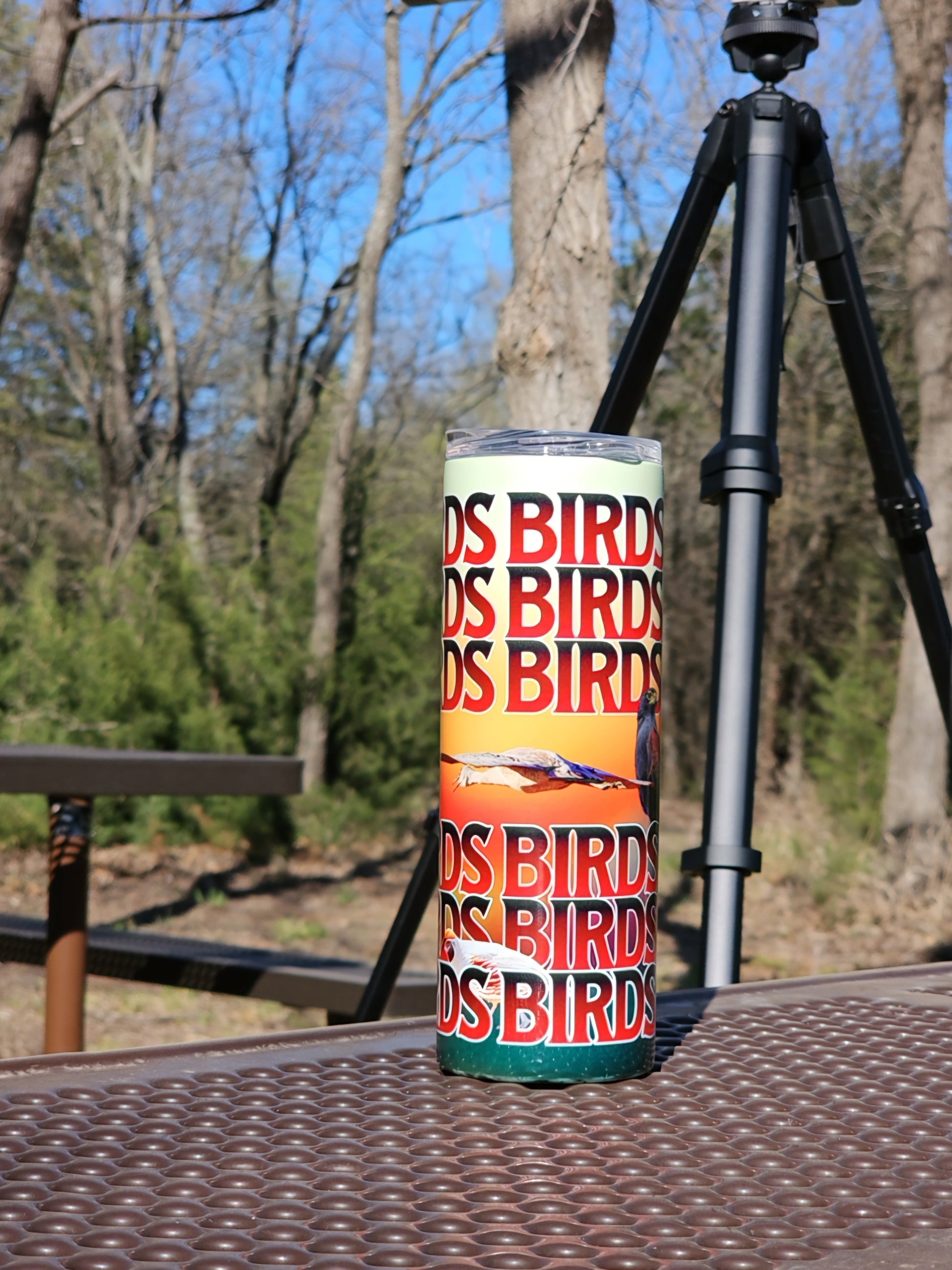 Skinny Tumblers - Birdwatching - Framed Greetings