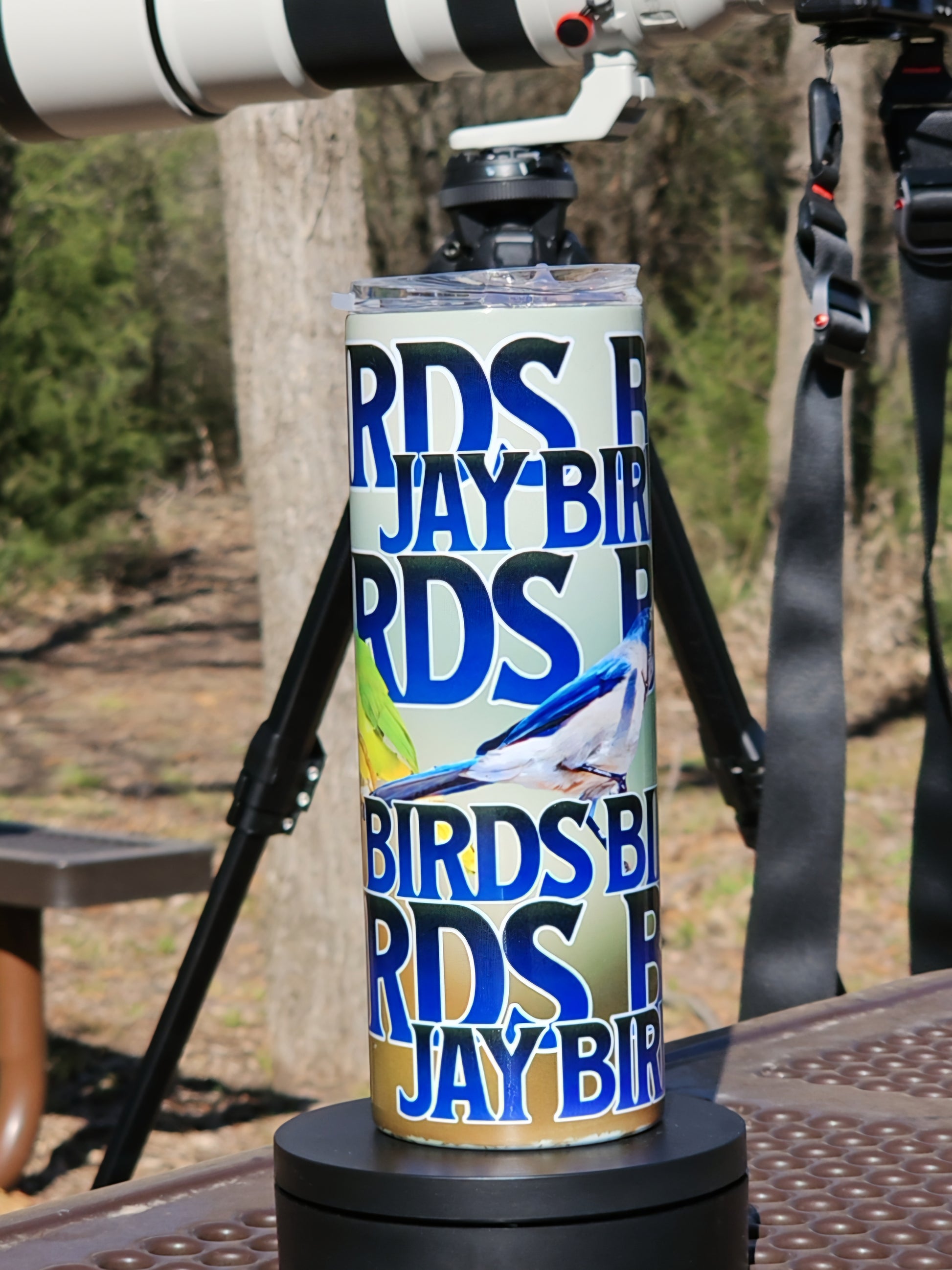 Skinny Tumblers - Birdwatching - Framed Greetings