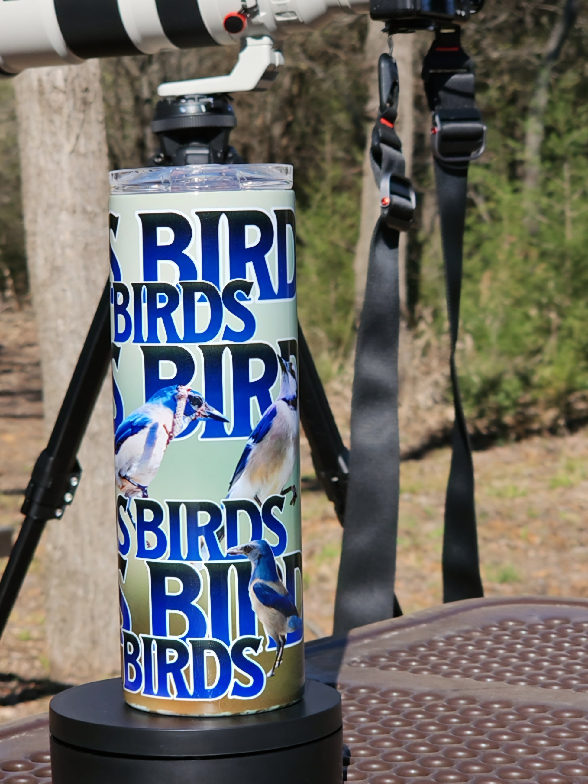 Skinny Tumblers - Birdwatching - Framed Greetings