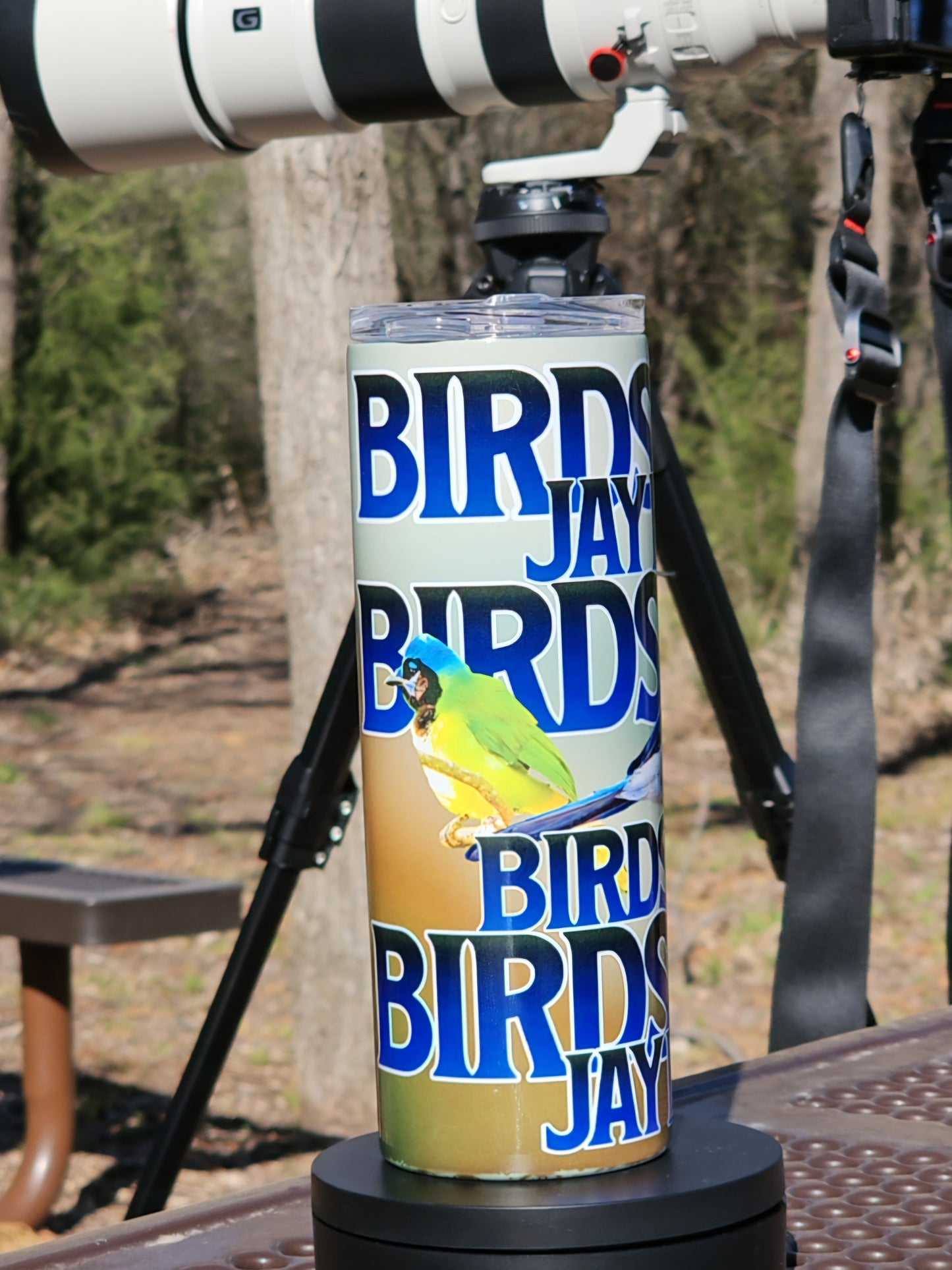 Skinny Tumblers - Birdwatching - Framed Greetings