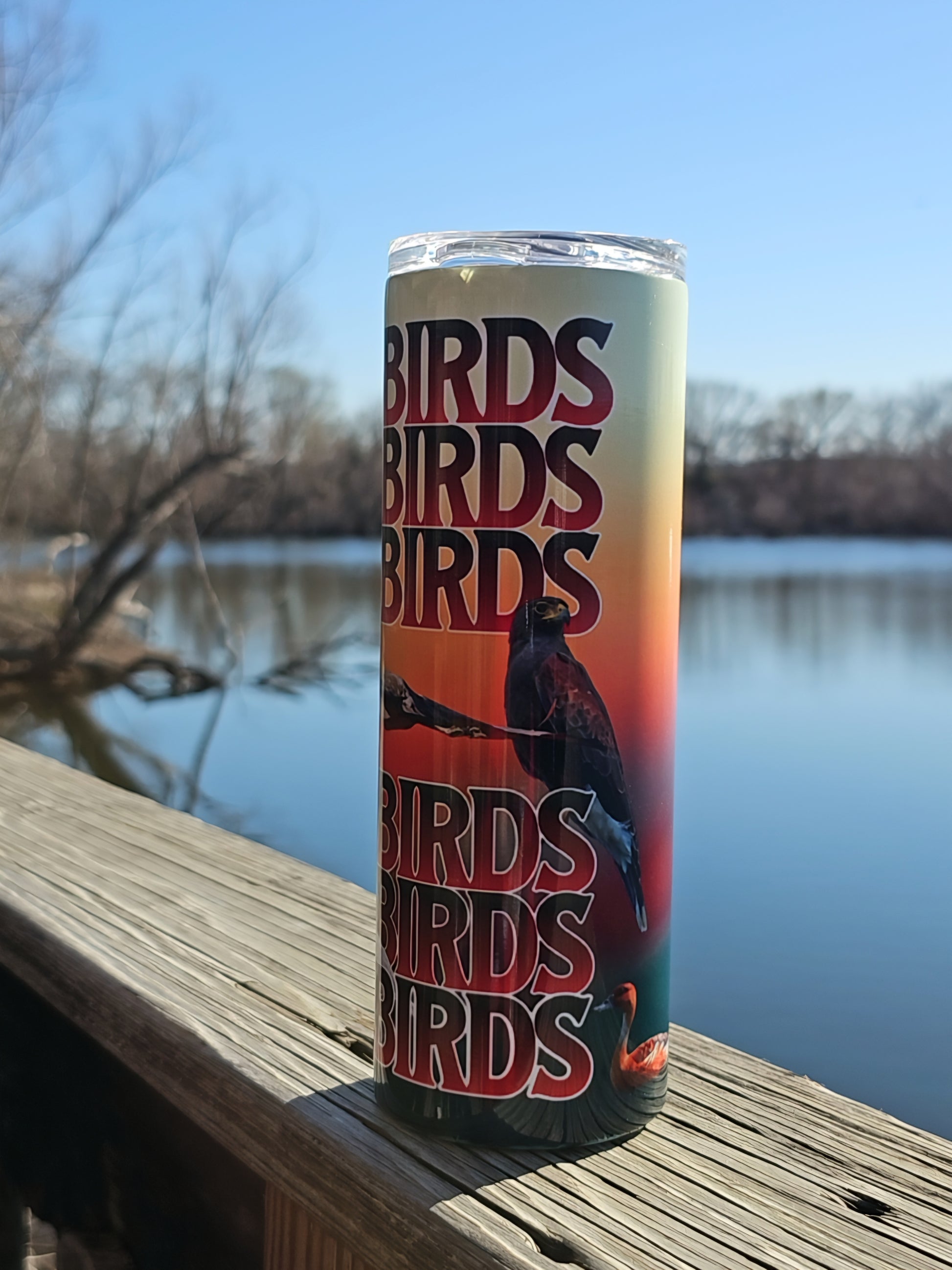 Skinny Tumblers - Birdwatching - Framed Greetings