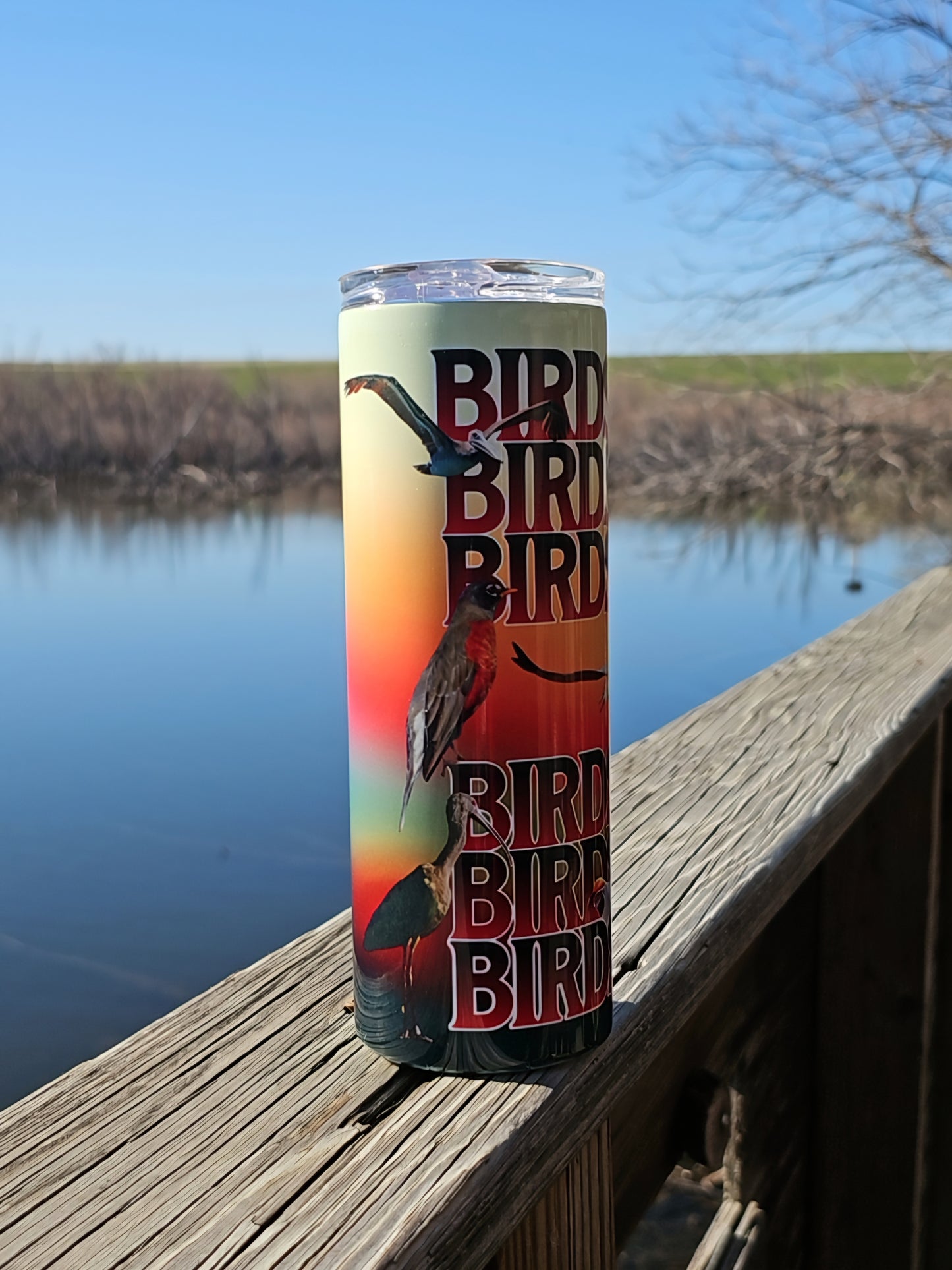 Skinny Tumblers - Birdwatching - Framed Greetings