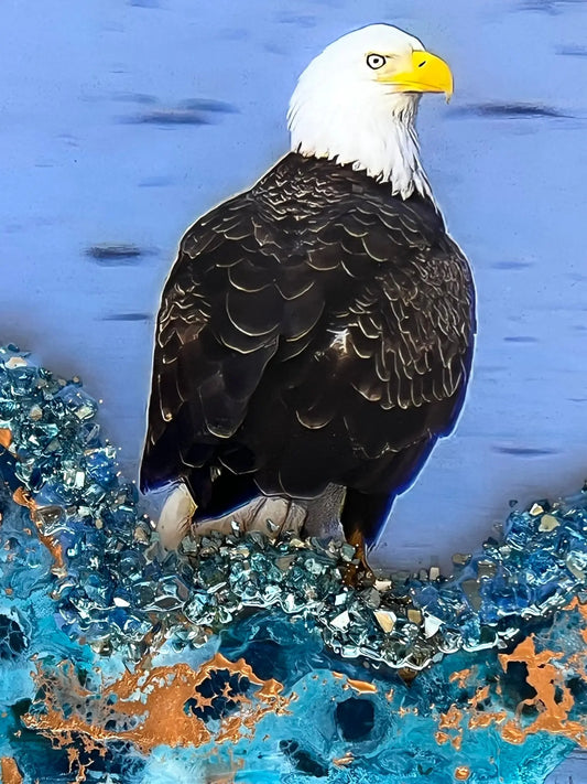 Wild Luxe Collab - Bald Eagle Antoinette Washington Photography