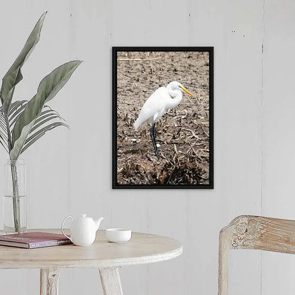 Runway Egret  3 Antoinette Washington Photography