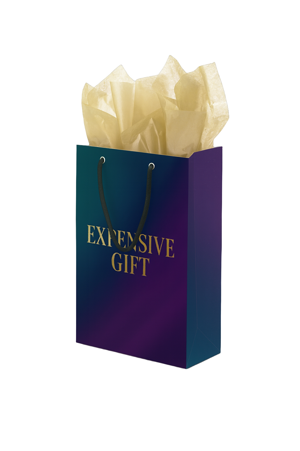 Blue gift bag with 'EXPENSIVE GIFT' text and beige tissue paper on a white background