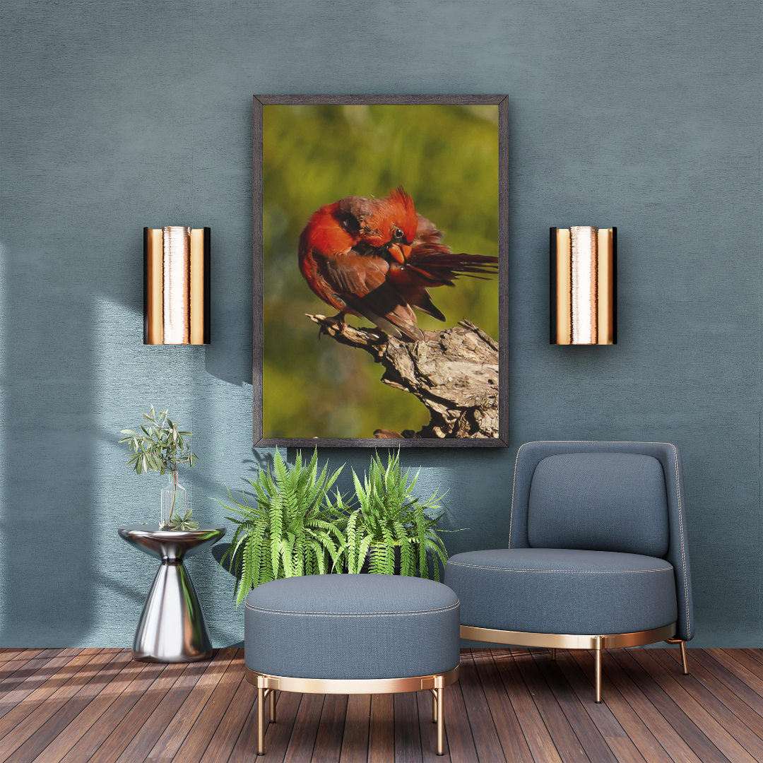 Feathered Focus – Northern Cardinal Photography Print | Framed Greetings