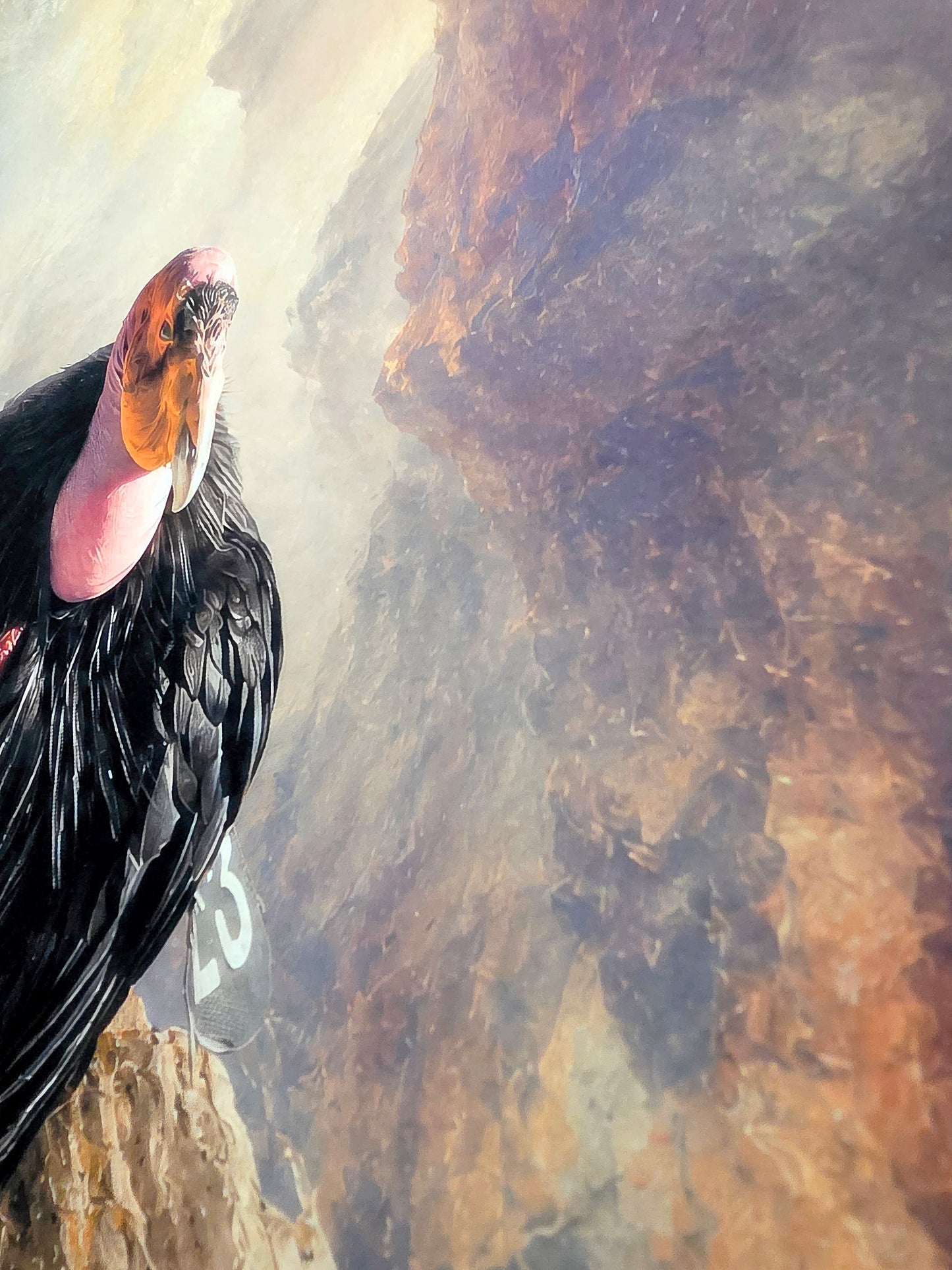 Black bird with a fish in its mouth on a rocky surface
