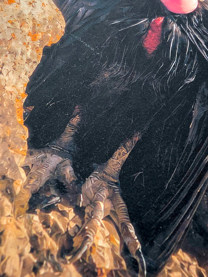 Close-up of a textured black surface with a hand holding a transparent object.
