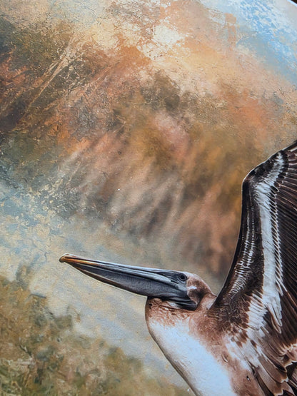 Close-up of a pelican's head and beak with a textured background