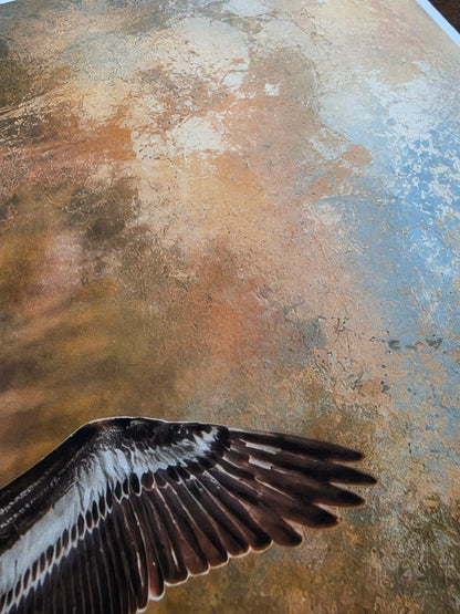 Close-up of a bird's wing against a textured brown and beige background