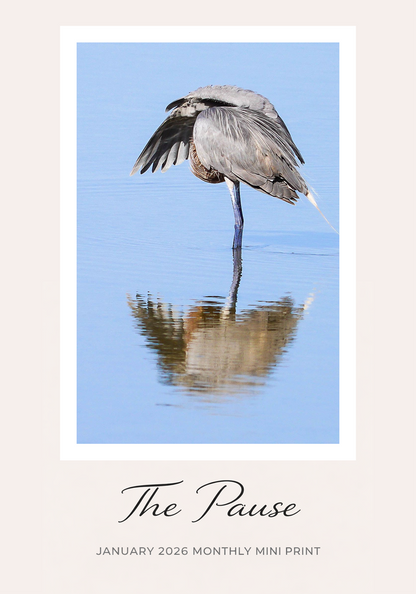 The Monthly Mini Collector Series — Original Art by Framed Greetings