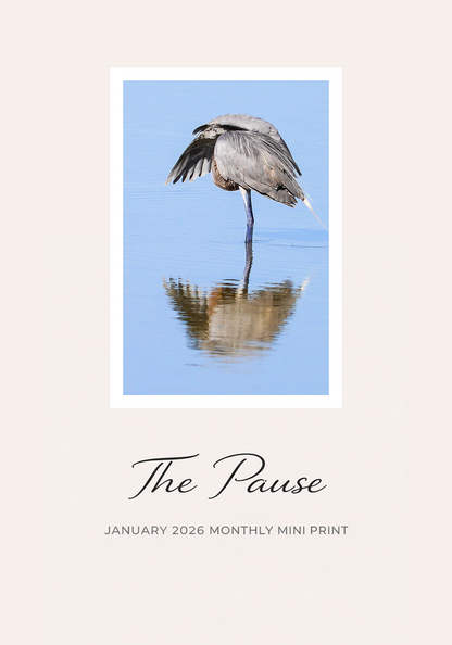 The Monthly Mini Collector Series — Original Art by Framed Greetings